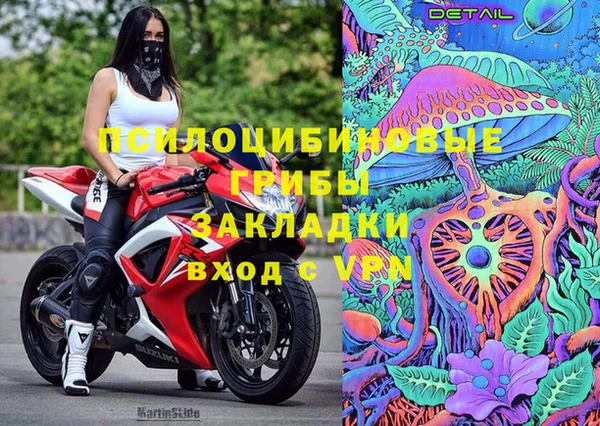 молекула духа Абинск