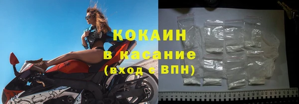 гидра Абаза