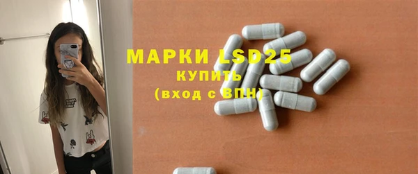 гидра Абаза