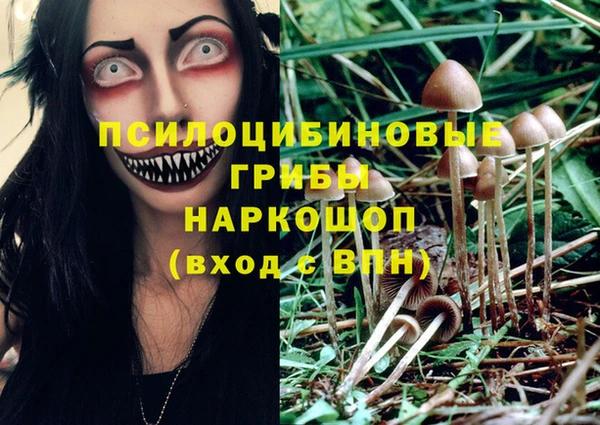 мяу мяу кристалл Алексин