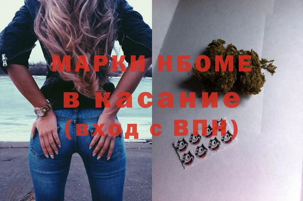 гидра Абаза