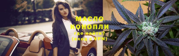 гидра Абаза