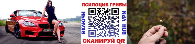 Псилоцибиновые грибы Magic Shrooms  наркота  Подольск 